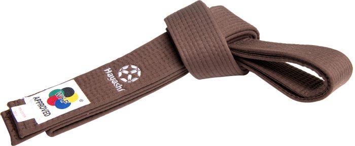 Hayashi - Karate belt (with WKF-Label) - Image 5