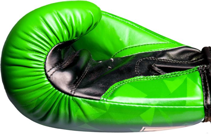 TOP TEN - Boxing Gloves “PRISM” - Image 11