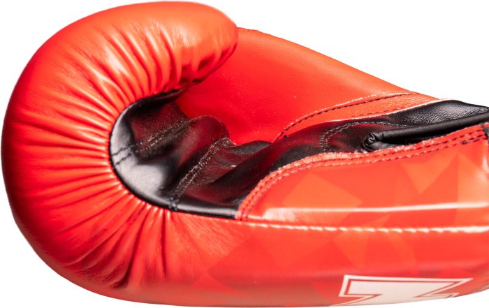 TOP TEN - Boxing Gloves “PRISM” - Image 6