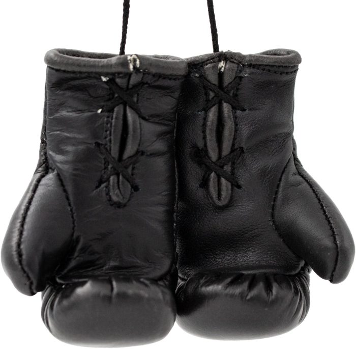 TOP TEN - Mini boxing gloves “WAKO Pro” - Image 4