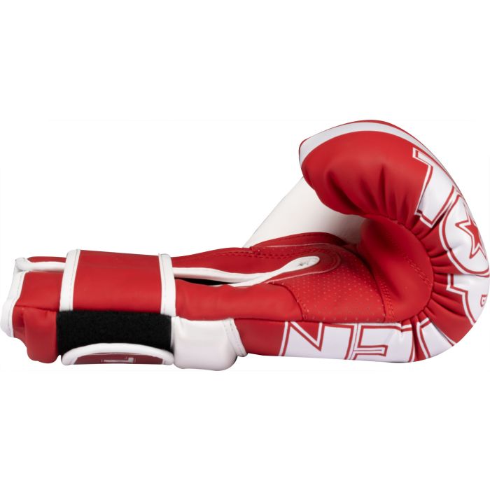 TOP TEN - Guantoni da Boxe “WAKO NTB Marks” - immagine 4